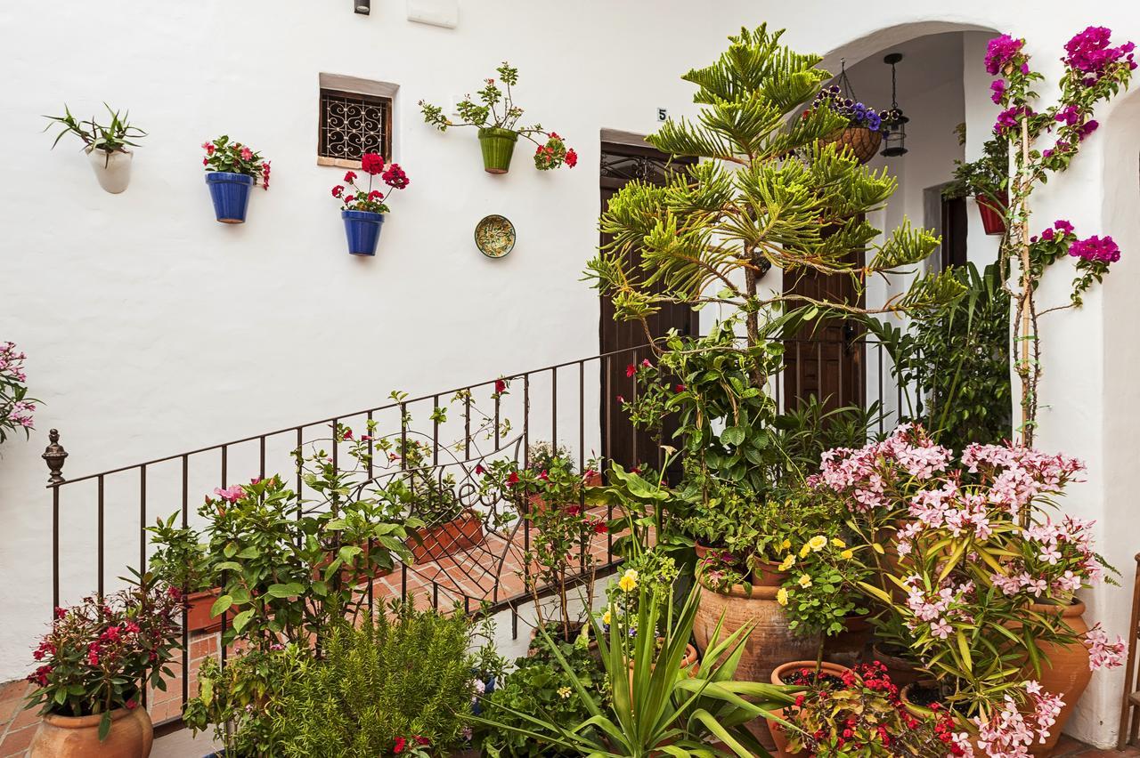 Apartment Y En El Centro La Jabega By Conil *